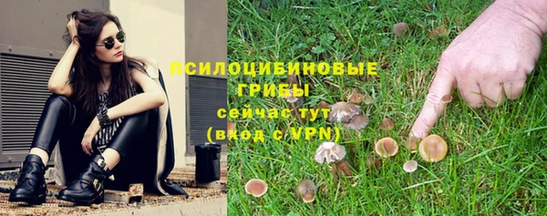стаф Болхов
