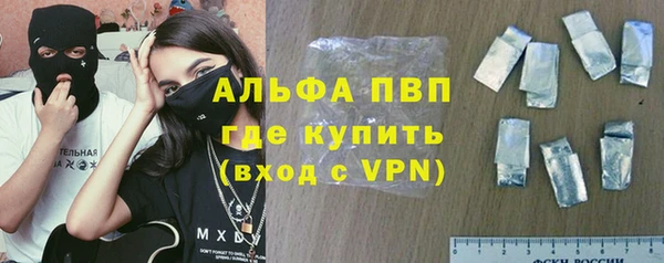молекула духа Болотное