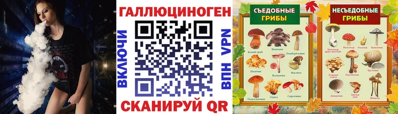 Псилоцибиновые грибы MAGIC MUSHROOMS наркота KRAKEN Шумиха