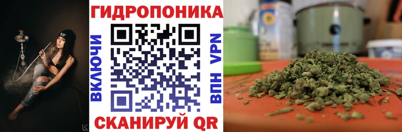 МАРИХУАНА OG Kush Шумиха
